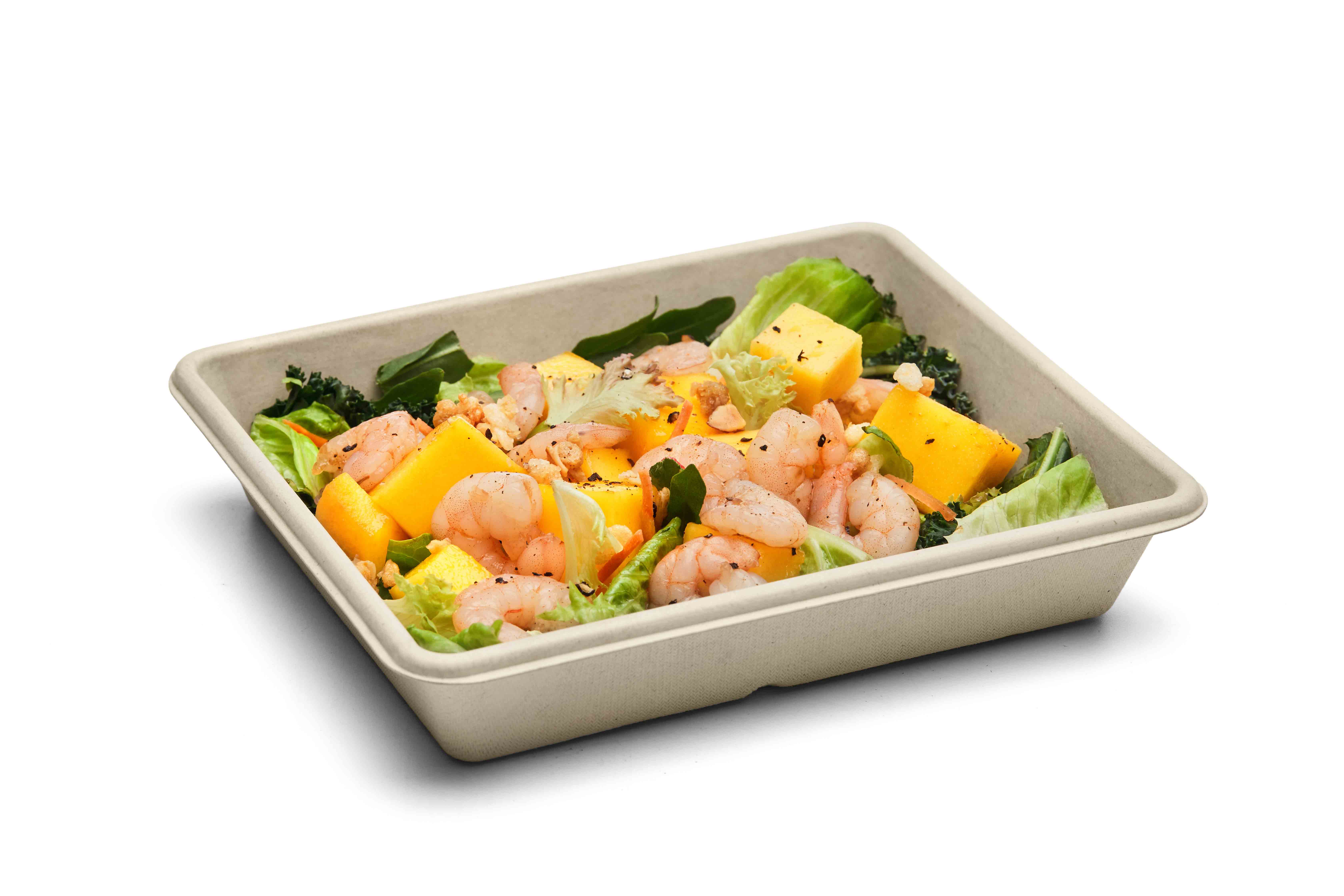 SBK 6X8 salad tray